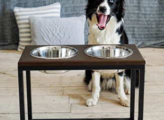 Как подобрать удобную миску на подставке для собак