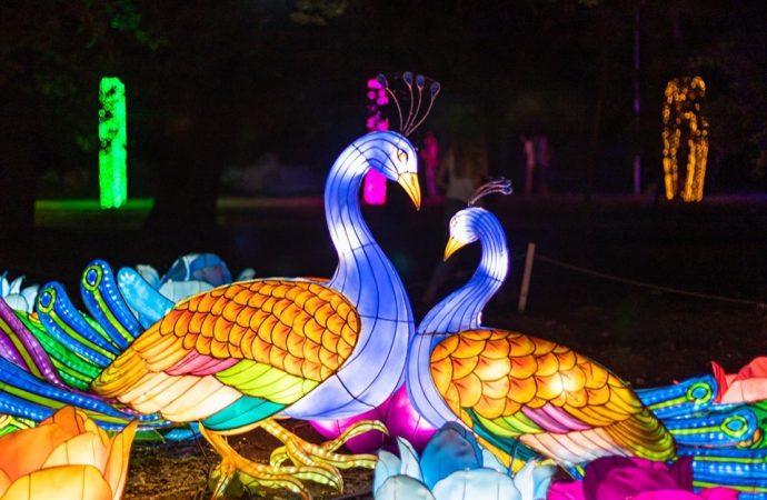 Фестиваль гигантских китайских фонарей приглашает в гости всех социально незащищенных детей