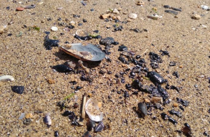 Новые сюрпризы курортного сезона: загородные пляжи Одессы загрязнены мазутом