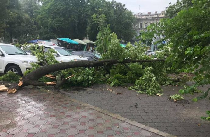 Непогода в Одессе: упавшие деревья блокируют работу транспорта