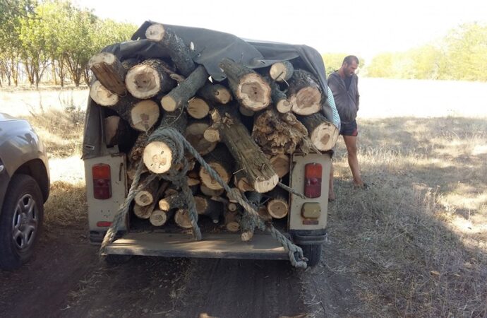 На Одещині в заповідній зоні місцеві жителі вирубали дерева