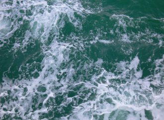 Велика кількість поверхневих вод: на пляжах Одеси не радять купатися