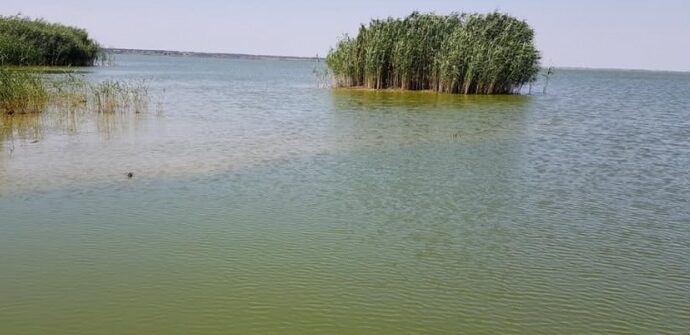 Озеру Катлабух в Одесской области грозит экологическая катастрофа