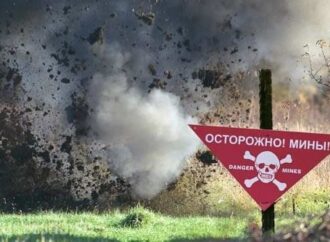 В Одесской области нашли боеприпасы времен Второй мировой войны