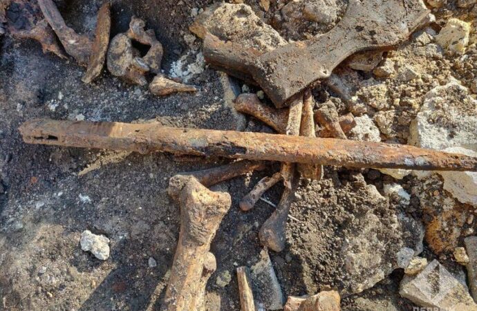 Одессит выкопал у себя под домом человеческие кости (фото)