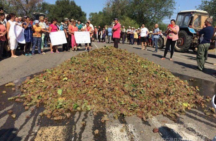 Перекрили дорогу, накидавши гору винограду: на Одещині протестують виноградарі