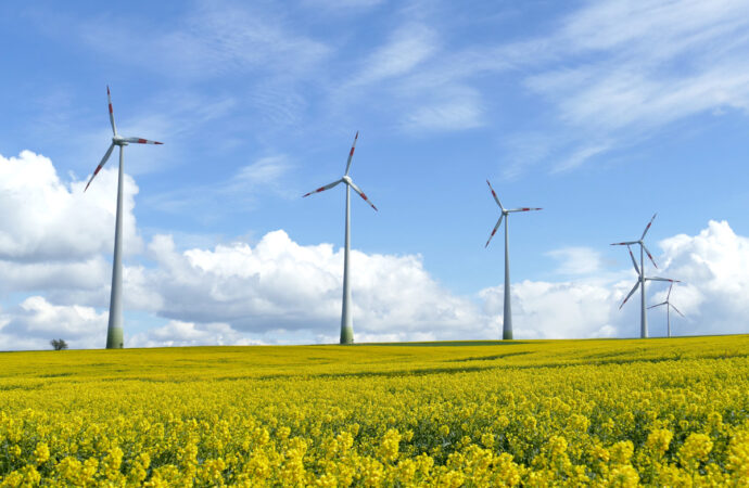 В Одесской области построят новую ветроэлектростанцию