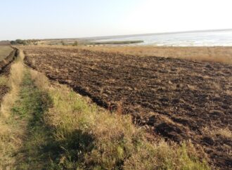 В заповеднике под Одессой из-за захвативших земли фермеров гибнут растения и живность