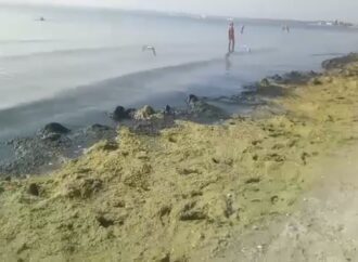 “Похоже на зловонную канаву”: одесситка показала видео с грязного пляжа
