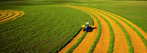 Одесская область занимает последние места по продаже сельскохозяйственной земли