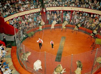 Одесский цирк может стать первым в Украине, где запретят выступать животным