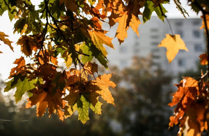 Погода на 10 жовтня. В Одесі прогнозують вітряну, але теплу погоду