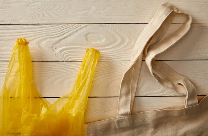 Одеса без поліетилену: містян запрошують на еко-акцію, де можна обміняти поліетиленові пакети