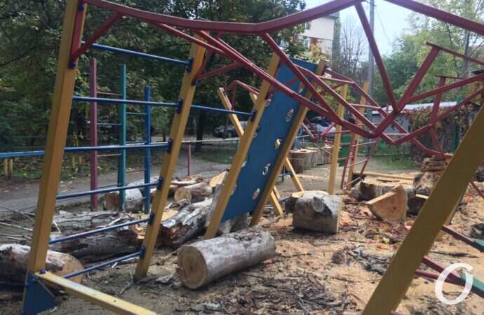 Огромное дерево упало на детскую площадку в Одессе