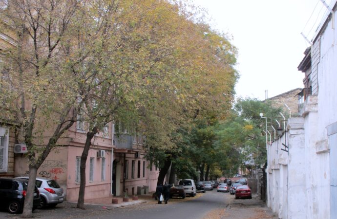 Одесский переулок Ляпунова: без единого указателя, но с «великими вопросами жизни»