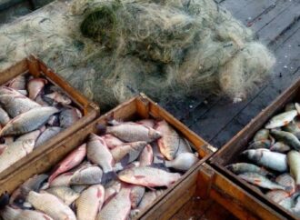 Браконьеры не дремлют: на озере Ялпуг наловили рыбы на 12 тыс. грн
