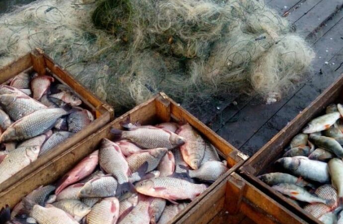 Браконьеры не дремлют: на озере Ялпуг наловили рыбы на 12 тыс. грн