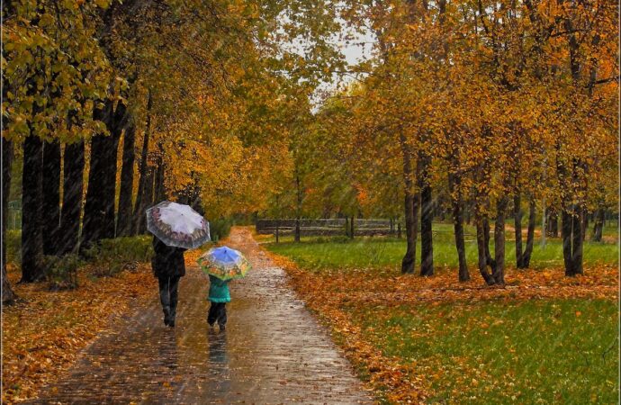Погода в Одессе 11 ноября: будет ли дождь в субботу?