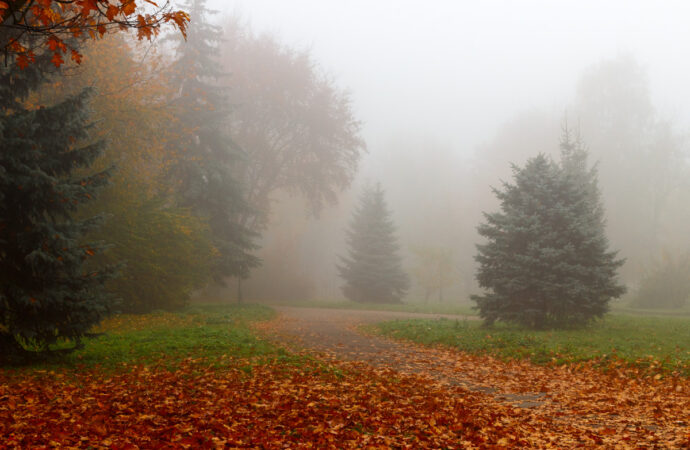 Погода на 16 жовтня. Обережніше на дорогах — в Одесі очікується туман