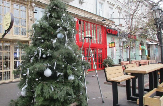 Ноябрьский ветер не помеха:  на Дерибасовской установили первую новогоднюю елку