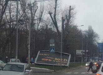Большой рекламный щит обвалился неподалеку от двух одесских школ