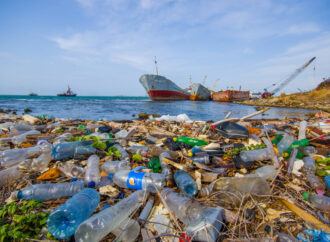 Щороку у Світовий океан викидають близько 12 мільйонів тонн пластику