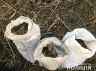 В Одесской области поймали браконьеров с тремя мешками раков