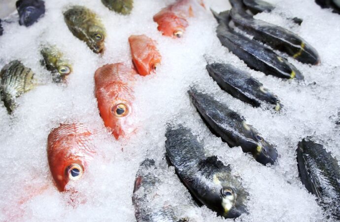 Полезные советы: покупаем рыбу правильно