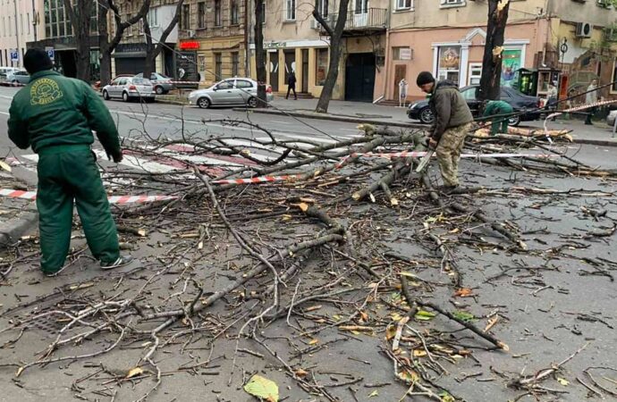 Сильный ветер валит деревья в Одессе: заблокировано движение трамвая, повреждены машины