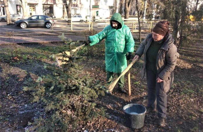 Система антивор: хвойные деревья в одесских парках и скверах приводят в «нетоварный вид» (фото)