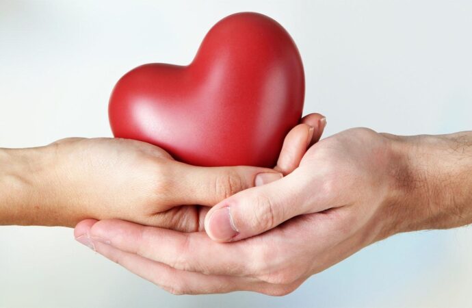 Берегите сердце: как побороть сердечные недуги с помощью народных средств