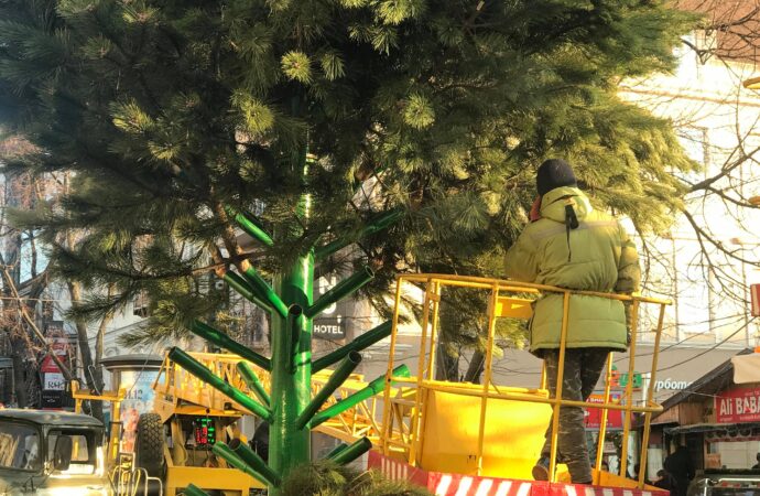 В день национального траура по жертвам пожара в Одессе устанавливают елку
