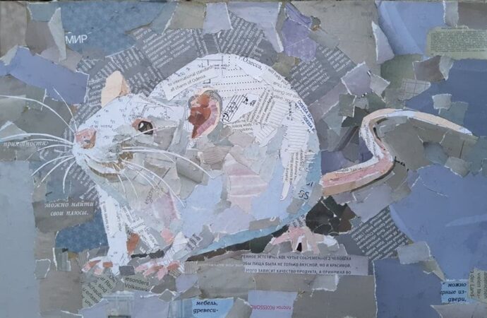 Чайки, мишки та коти: в Одесі художниця створює картини з журналів, нот і трамвайних квитків