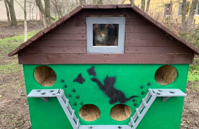 Одессит для бездомных кошек соорудил трехэтажный особняк с видом на море (фото)