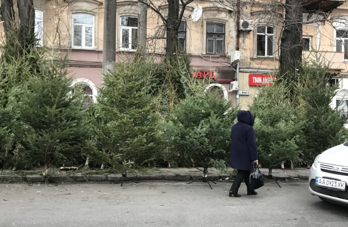 Что произошло в Одессе 13 декабря: первые елочные базары и обыски в здании ГСЧС