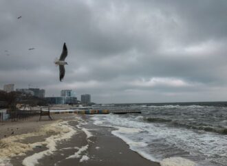 Погода в Одессе 14 января: потеплеет, но усилится ветер