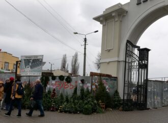 «И почем ваших зелененьких?»: вокруг Привоза выросли хвойные леса