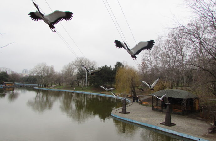 В одесском парке появились журавли, дельфины и капитанский мостик (фото)