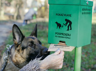 В Одессе автор проекта о «собакопакетах» просит поддержать идею чистоты в парках и скверах (видео)