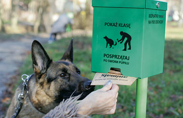 Одесситов просят не воровать пакеты из «собачьих» стоек (видео)
