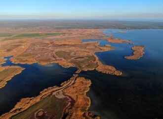 Три реки в Одесской области расчистили от старых дамб: это увеличит запасы рыбы и предотвратит затопления