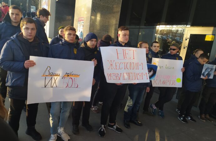 Одесские активисты протестовали против эксплуатации дельфинов