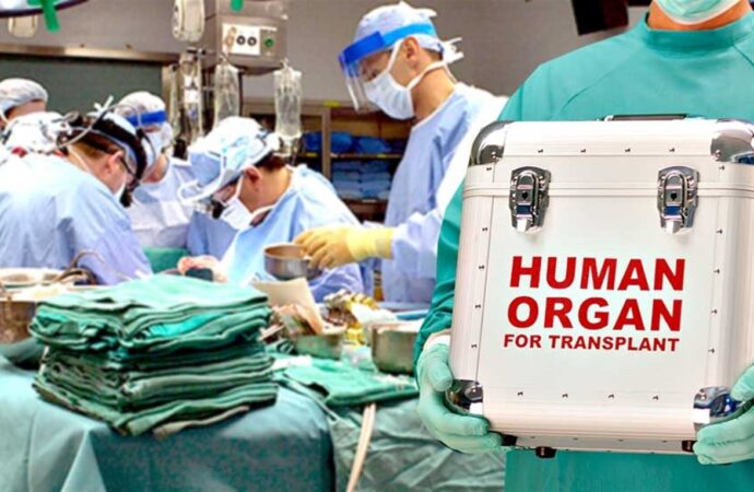 В Украине заработала Единая государственная информационная система по трансплантации органов и тканей