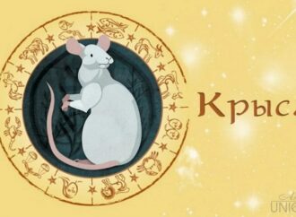 Восточный гороскоп на 2020 год: что по китайскому Зодиаку сулят звезды в год Крысы