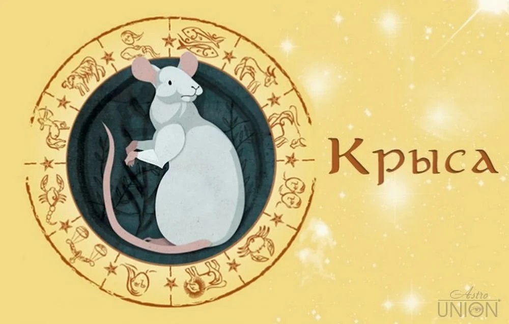 Знаки зодиака год крысы