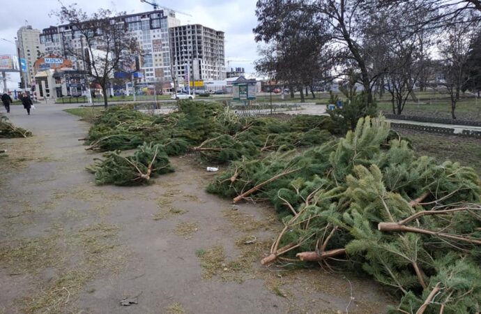 Что произошло в Одессе 2 января: закрытие городского рынка еды и акция на утилизацию елок