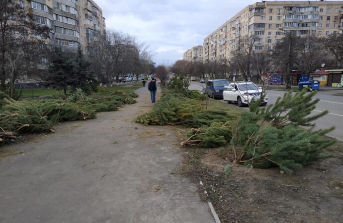 Одеські комунальники скаржаться на «цвинтарі ялинок», які залишились після святкування Нового року (фото)