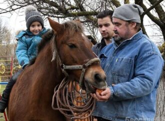 В Одесской области пони будет лечить особенных детей
