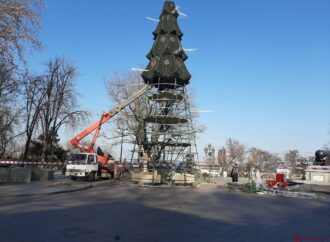 Что произошло в Одессе 24 января: прощание с главной елкой и задержание группы «клофелинщиков»