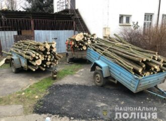 Под Одессой правоохранители задержали браконьеров, пиливших деревья в лесополосе